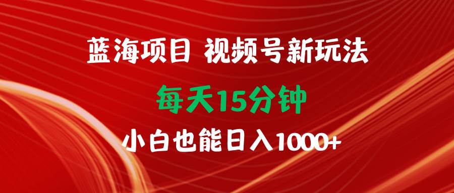 蓝海项目视频号新玩法 每天15分钟 小白也能日入1000+-爱省资源网