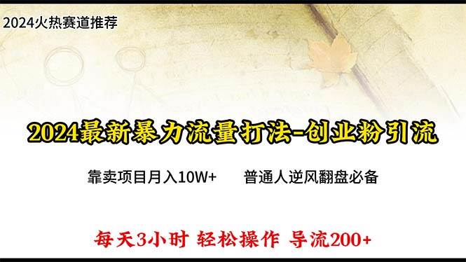 2024年最新暴力流量打法，每日导入300+，靠卖项目月入10W+-爱省资源网