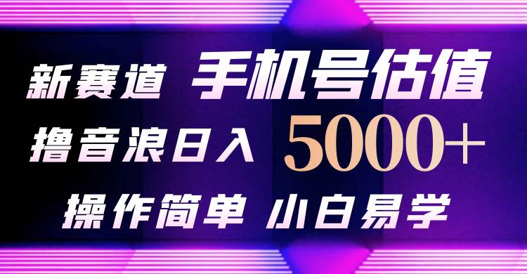抖音不出境直播【手机号估值】最新撸音浪，日入5000+，简单易学，适合…-爱省资源网