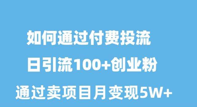 如何通过付费投流日引流100+创业粉月变现5W+-爱省资源网