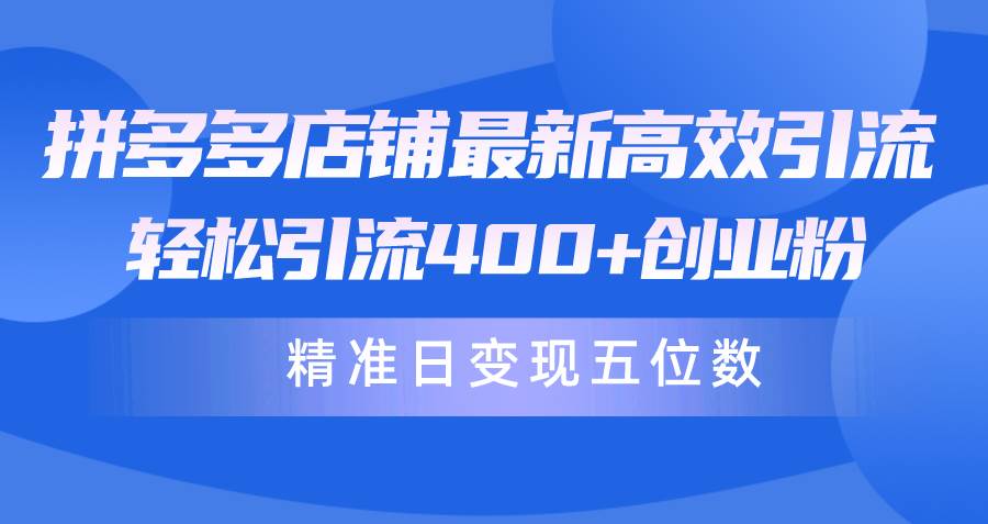 拼多多店铺最新高效引流术，轻松引流400+创业粉，精准日变现五位数！-爱省资源网