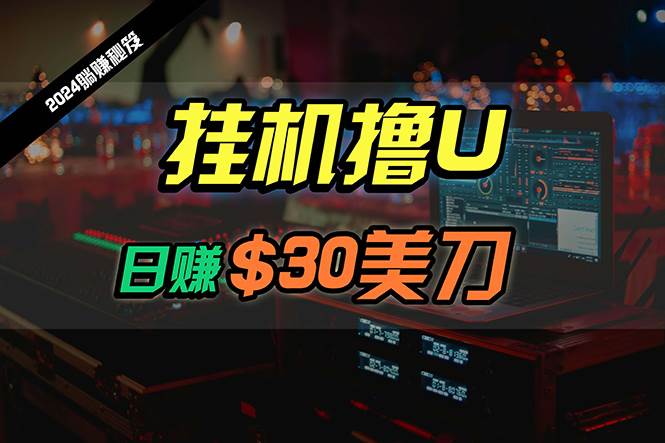日赚30美刀，2024最新海外挂机撸U内部项目，全程无人值守，可批量放大-爱省资源网