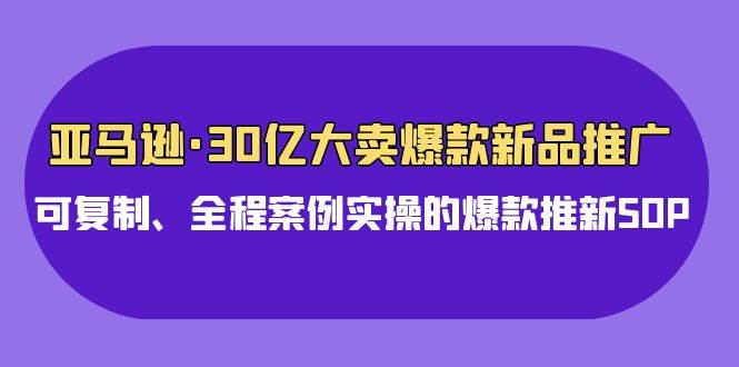 亚马逊30亿·大卖爆款新品推广，可复制、全程案例实操的爆款推新SOP-爱省资源网