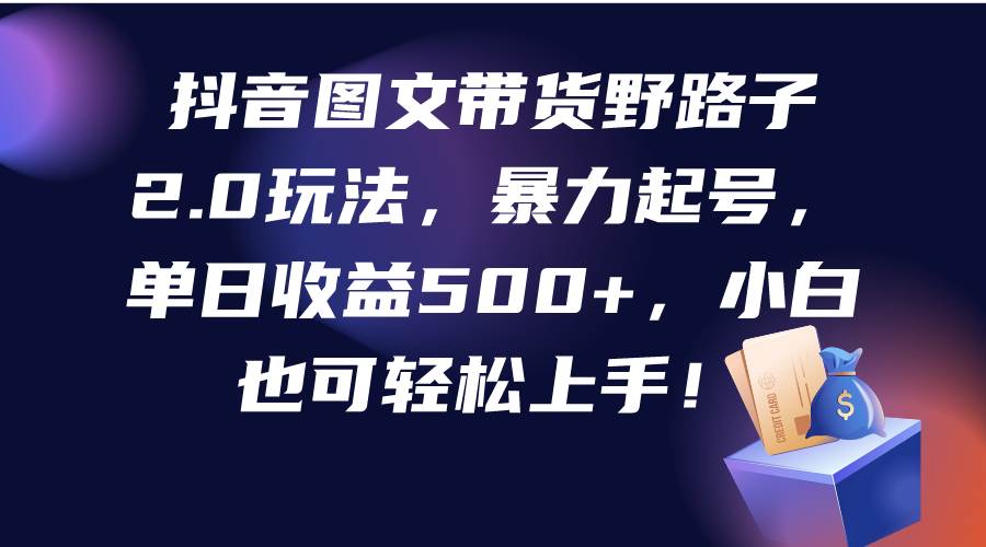 抖音图文带货野路子2.0玩法，暴力起号，单日收益500+，小白也可轻松上手！-爱省资源网