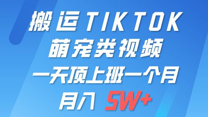 一键搬运TIKTOK萌宠类视频 一部手机即可操作 所有平台均可发布 轻松月入5W+-爱省资源网