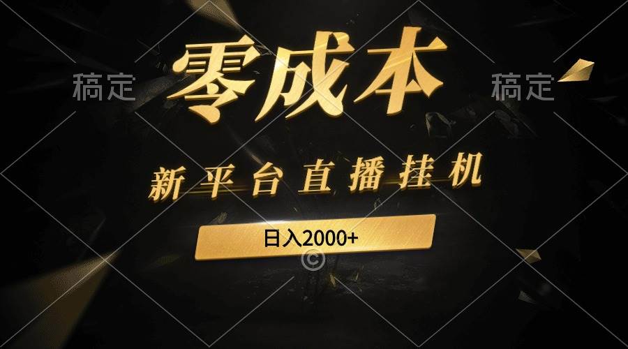 新平台直播挂机最新玩法，0成本，不违规，日入2000+-爱省资源网