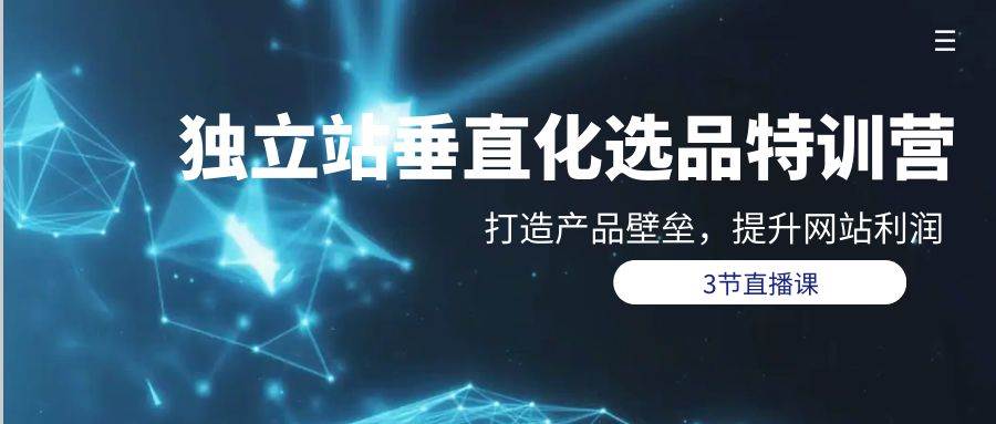 独立站-垂直化选品训练营，打造产品壁垒，提升网站利润（3节直播课）-爱省资源网