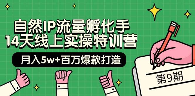 自然IP流量孵化手 14天线上实操特训营【第9期】月入5w+百万爆款打造 (74节)-爱省资源网