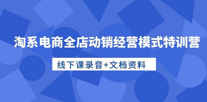 淘系电商全店动销经营模式特训营，线下课录音+文档资料-爱省资源网