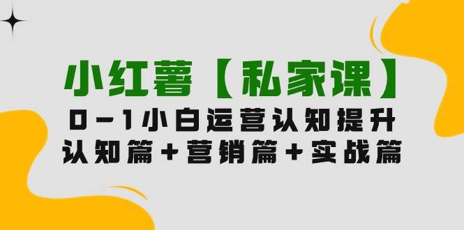 小红薯【私家课】0-1玩赚小红书内容营销，认知篇+营销篇+实战篇（11节课）-爱省资源网