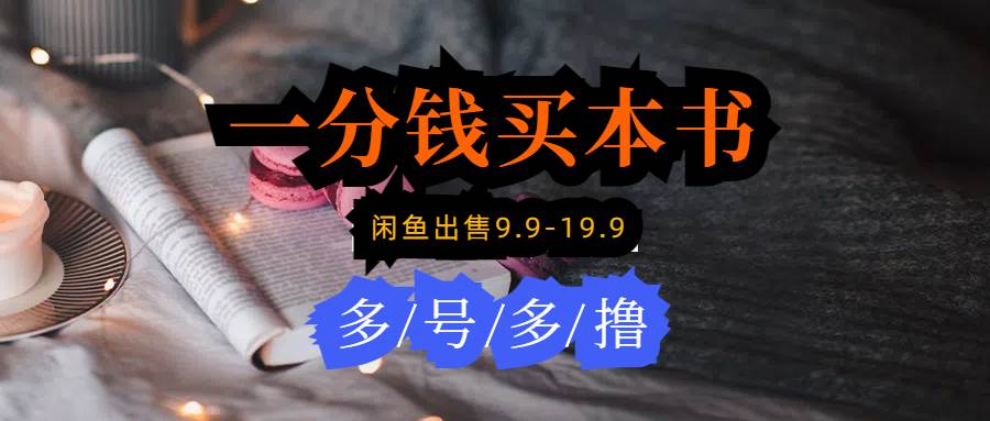 每天花1分钱买一本书，闲鱼出售9.9-19.9不等，多账号多撸 新手小白均可操作-爱省资源网