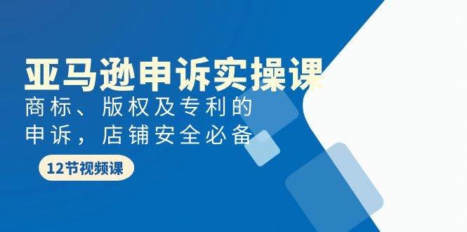 亚马逊-申诉实战课，商标、版权及专利的申诉，店铺安全必备-爱省资源网