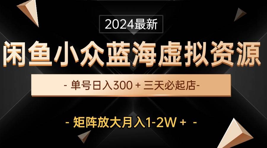 最新闲鱼小众蓝海虚拟资源，单号日入300＋，三天必起店，矩阵放大月入1-2W-爱省资源网