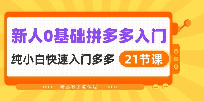 新人0基础拼多多入门，纯小白快速入门多多（21节课）-爱省资源网