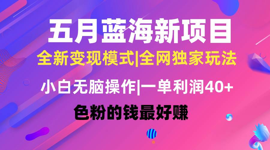 五月蓝海项目全新玩法，小白无脑操作，一天几分钟，矩阵操作，月入4万+-爱省资源网