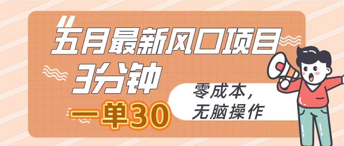 五月最新风口项目，3分钟一单30，零成本，无脑操作-爱省资源网