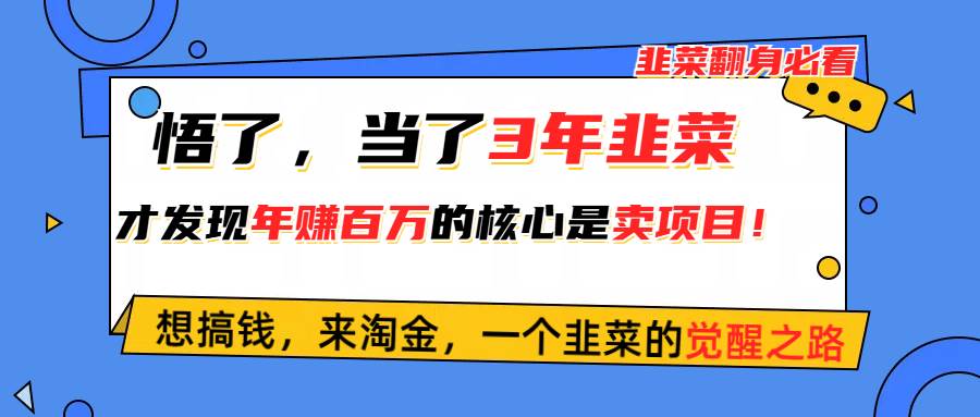 悟了，当了3年韭菜，才发现网赚圈年赚100万的核心是卖项目，含泪分享！-爱省资源网
