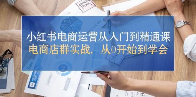小红书电商运营从入门到精通课，电商店群实战，从0开始到学会-爱省资源网