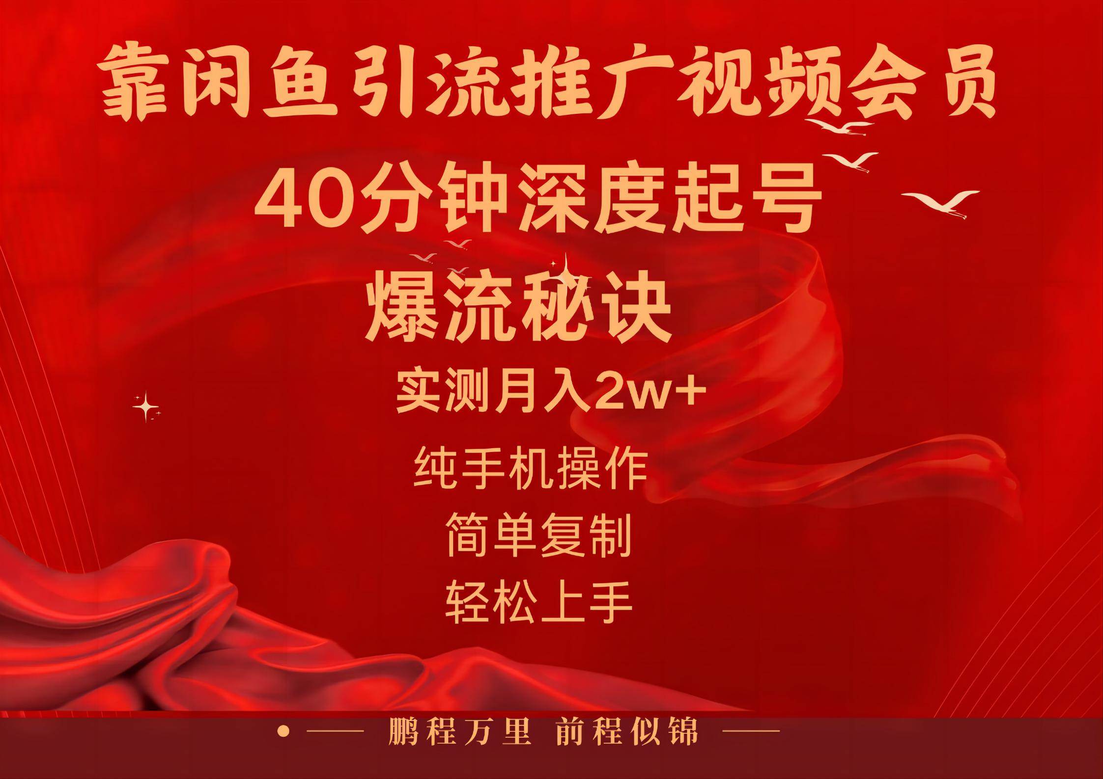 闲鱼暴力引流推广视频会员，能做到日入2W+，操作简单-爱省资源网