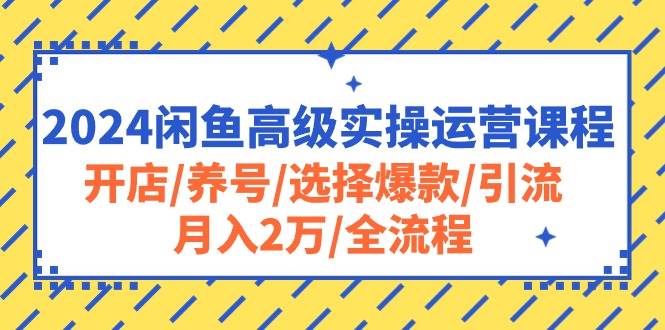 2024闲鱼高级实操运营课程：开店/养号/选择爆款/引流/月入2万/全流程-爱省资源网