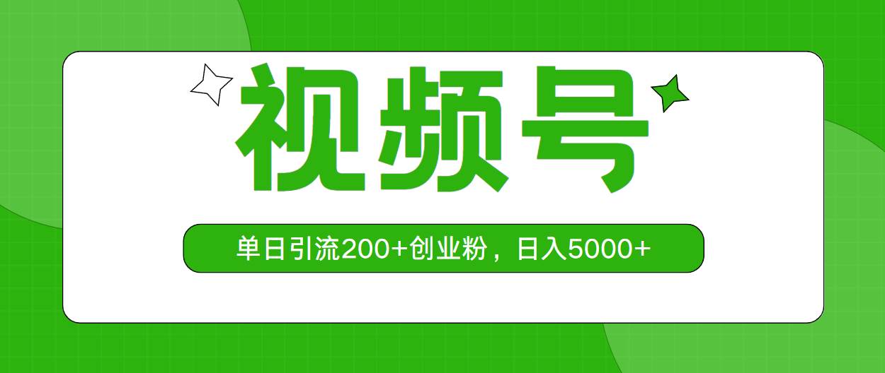 视频号，单日引流200+创业粉，日入5000+-爱省资源网