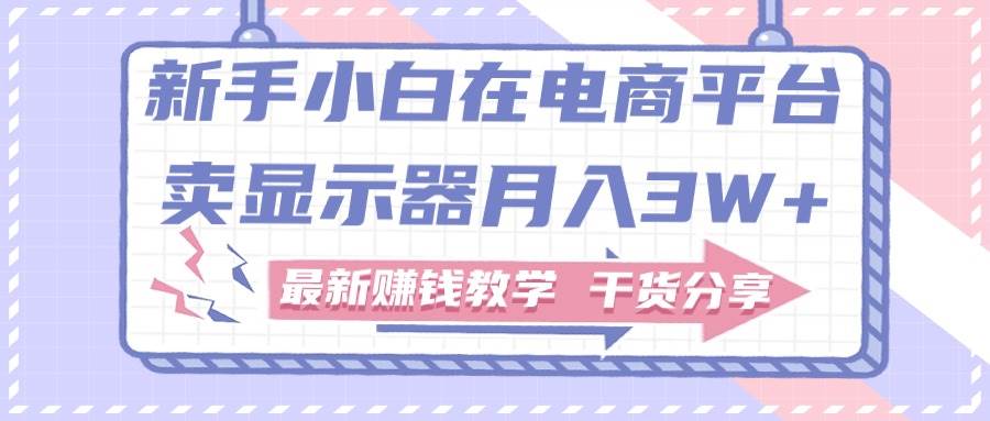 新手小白如何做到在电商平台卖显示器月入3W+，最新赚钱教学干货分享-爱省资源网
