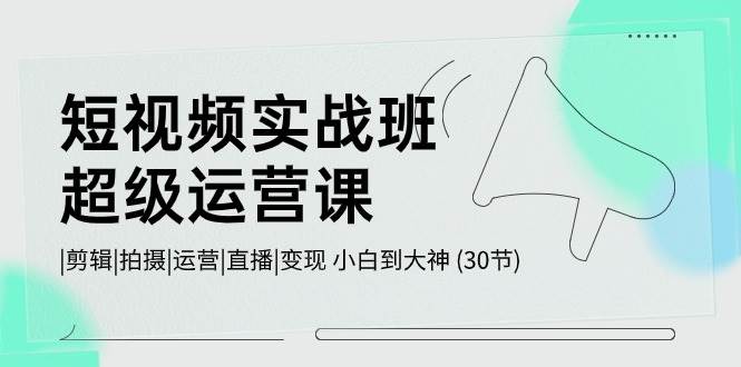 短视频实战班-超级运营课，|剪辑|拍摄|运营|直播|变现 小白到大神 (30节)-爱省资源网