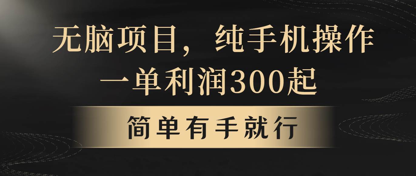 无脑项目，一单几百块，轻松月入5w+，看完就能直接操作-爱省资源网