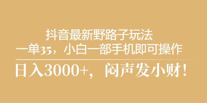 抖音最新野路子玩法，一单35，小白一部手机即可操作，，日入3000+，闷…-爱省资源网