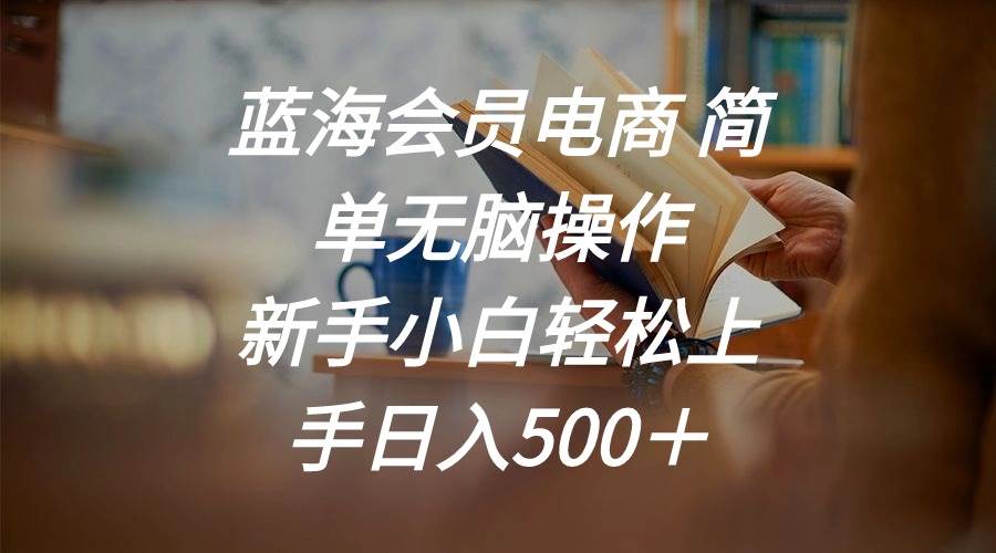 蓝海会员电商 简单无脑操作 新手小白轻松上手日入500＋-爱省资源网