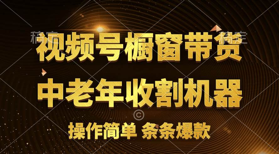 [你的孩子成功取得高位]视频号最火爆赛道，橱窗带货，流量分成计划，条…-爱省资源网