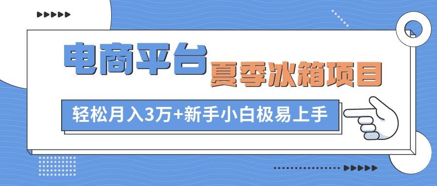 电商平台夏季冰箱项目，轻松月入3万+，新手小白极易上手-爱省资源网