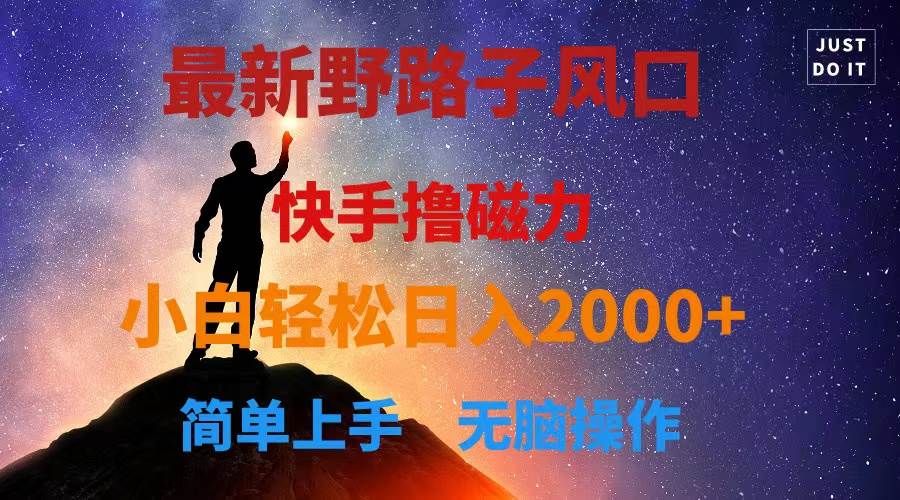 最新风口！快手撸磁力，野路子，小白无脑操作日入2000+-爱省资源网