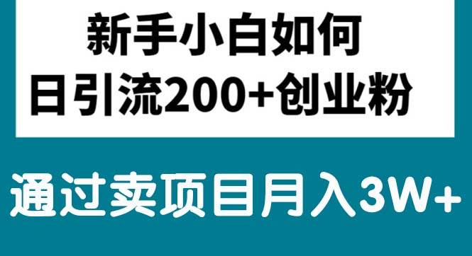 新手小白日引流200+创业粉,通过卖项目月入3W+-爱省资源网