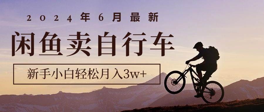 2024年6月最新闲鱼卖自行车，新手小白轻松月入3w+项目-爱省资源网