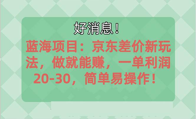 越早知道越能赚到钱的蓝海项目：京东大平台操作，一单利润20-30，简单…-爱省资源网