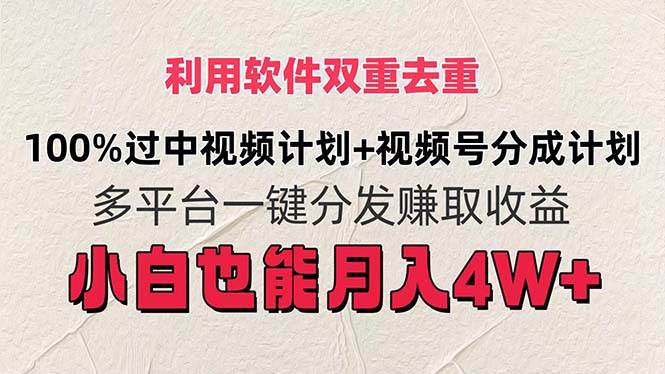 利用软件双重去重，100%过中视频+视频号分成计划小白也可以月入4W+-爱省资源网