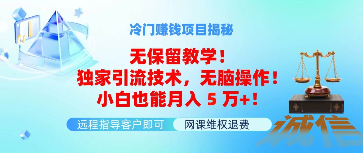冷门赚钱项目无保留教学！独家引流技术，无脑操作！小白也能月入5万+！-爱省资源网