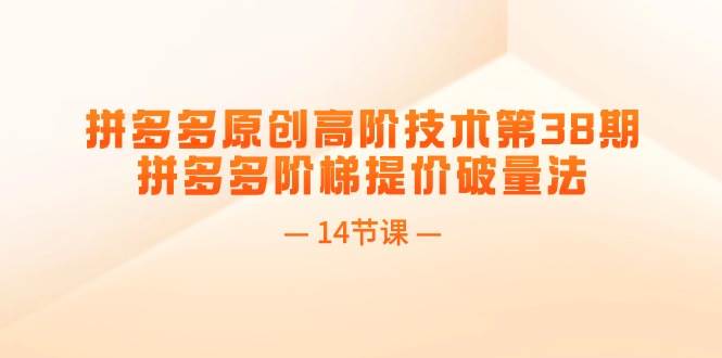 拼多多原创高阶技术第38期，拼多多阶梯提价破量法（14节课）-爱省资源网