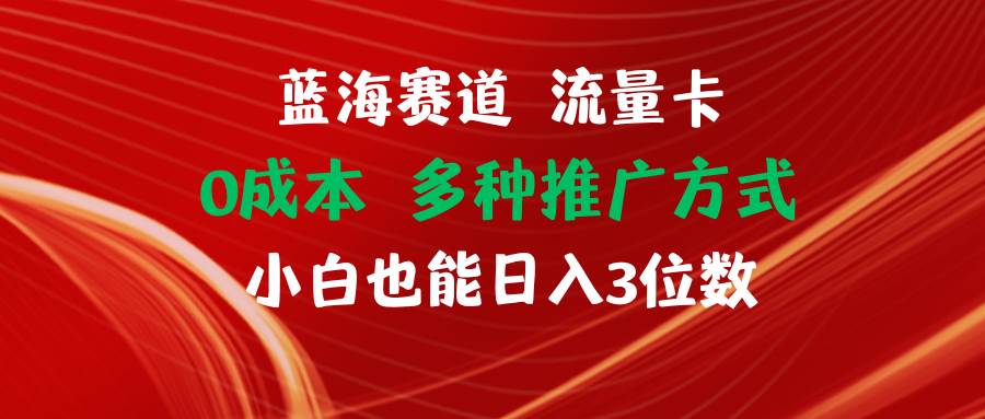 图片[1]-蓝海赛道 流量卡 0成本 小白也能日入三位数-爱省资源网