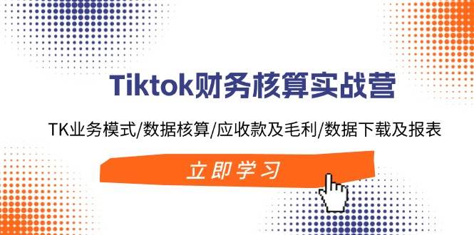 Tiktok财务核算实战营：TK业务模式/数据核算/应收款及毛利/数据下载及报表-爱省资源网