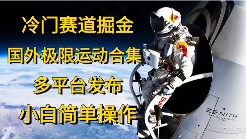 冷门赛道掘金，极限运动合集，多平台发布，小白简单操作-爱省资源网