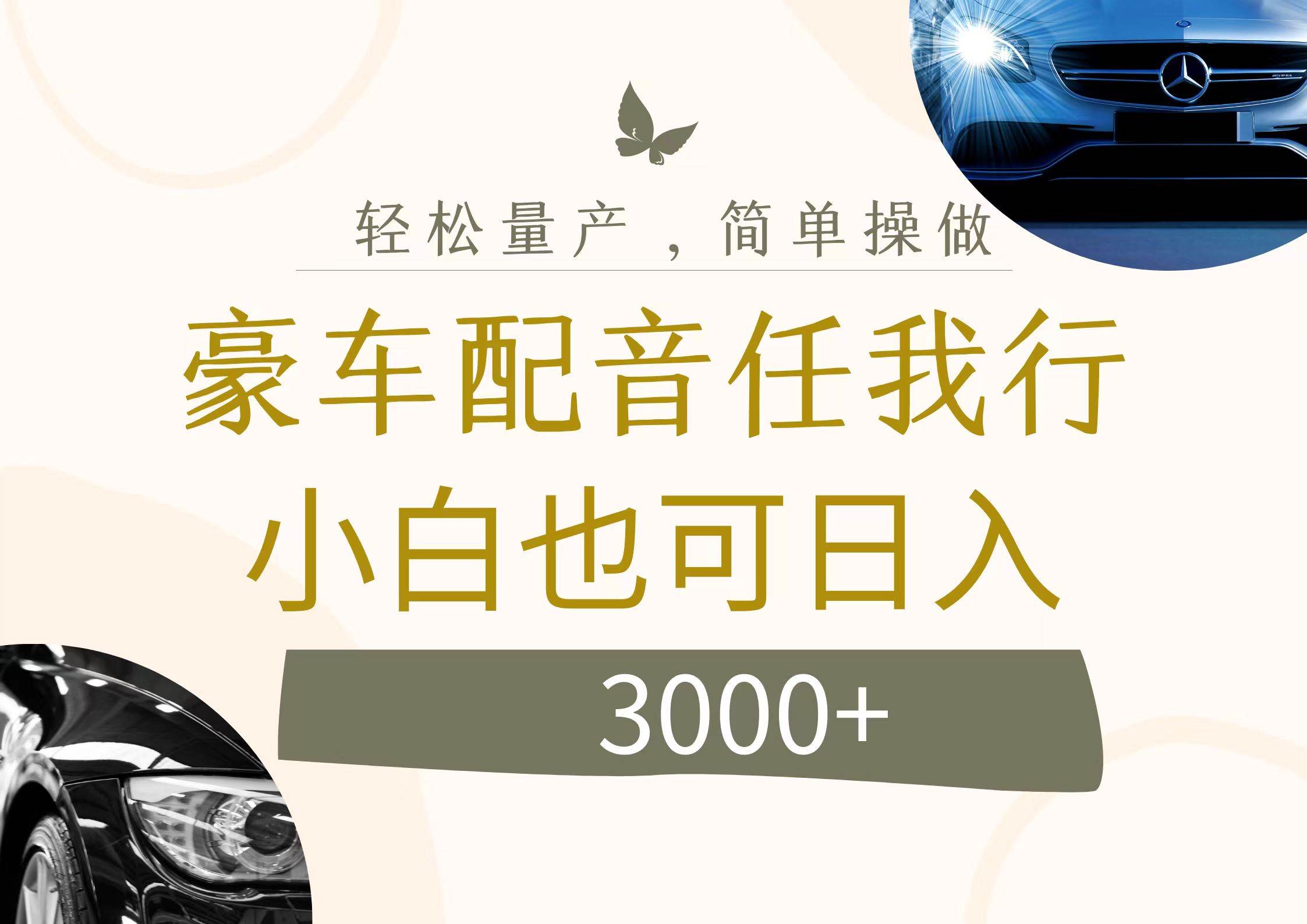 不为人知的暴力小项目，豪车配音，日入3000+-爱省资源网