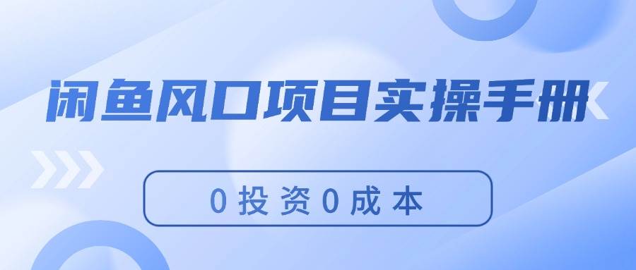 闲鱼风口项目实操手册，0投资0成本，让你做到，月入过万，新手可做-爱省资源网