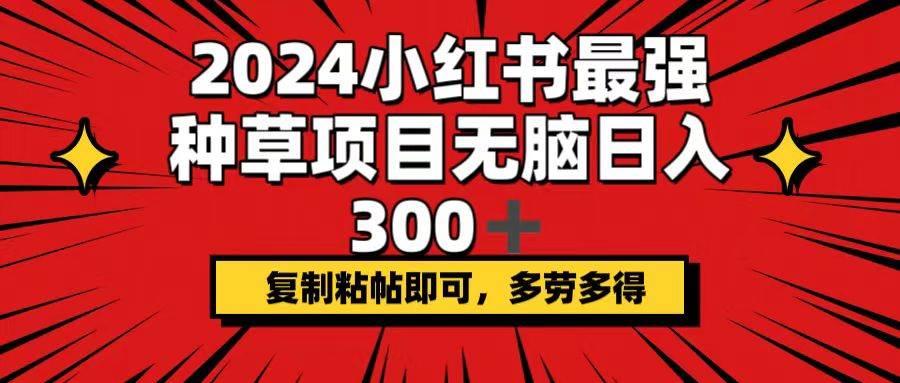 2024小红书最强种草项目，无脑日入300+，复制粘帖即可，多劳多得-爱省资源网