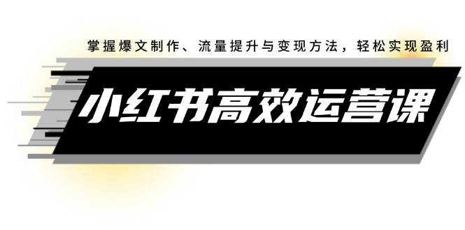 小红书高效运营课：掌握爆文制作、流量提升与变现方法，轻松实现盈利-爱省资源网
