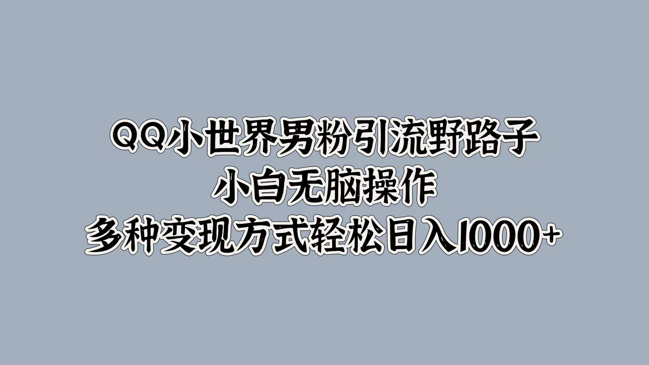 QQ小世界男粉引流野路子，小白无脑操作，多种变现方式轻松日入1000+-爱省资源网