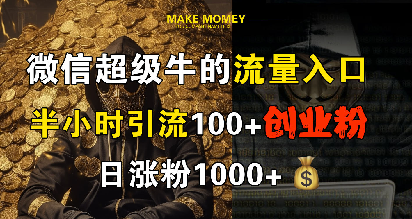 微信超级牛的流量入口，半小时引流100+创业粉，日涨粉1000+-爱省资源网