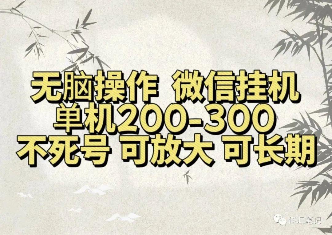 无脑操作微信视频号挂机单机200-300一天，不死号，可放大，工作室实测-爱省资源网