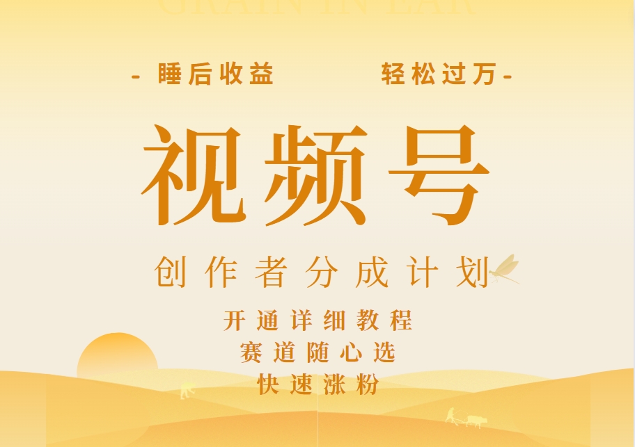 详解视频号创作者分成计划，暴力起号，可同步多平台，实现睡后收入2W+，看懂即可操作！-爱省资源网